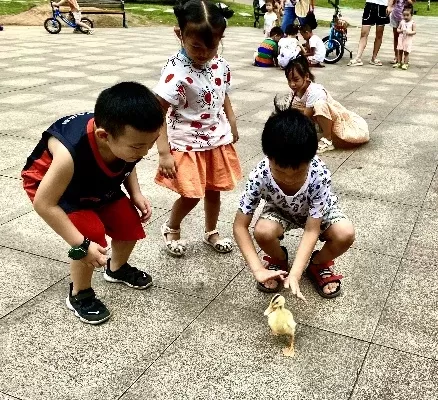 抓鸭子游戏的十大技巧教案　抓鸭子游戏的十大技巧教案中班