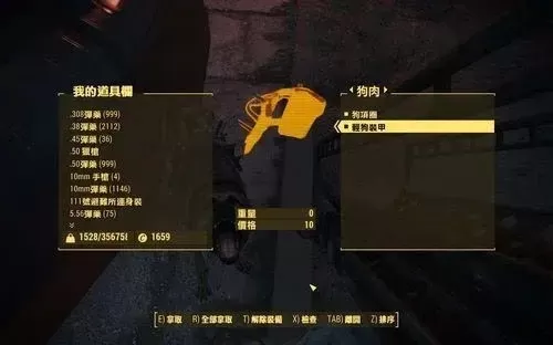 《辐射4》3种让跟班穿护甲方法详解