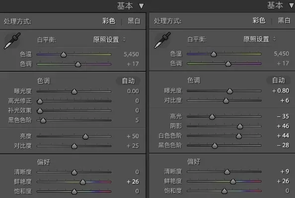 LR宝宝高效训练点数获取攻略及技能学习策略