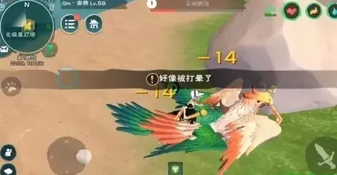 《创造与魔法》云斑鹦鸟刷新地点攻略汇总