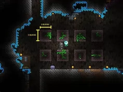 泰拉瑞亚绿藻矿种植攻略:技巧详解及成功种植方法