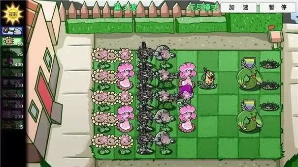 植物大战僵尸美人樱攻略:高效打僵尸策略与布局技巧