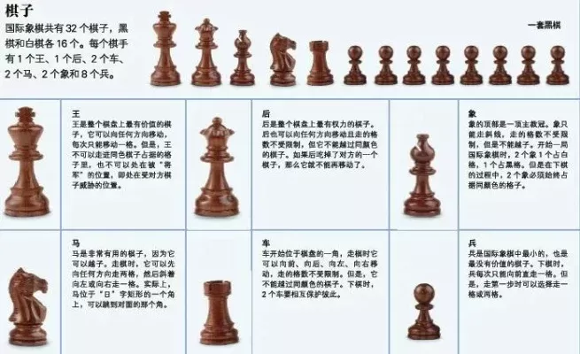 国际象棋每个棋子介绍-国际象棋棋子详解