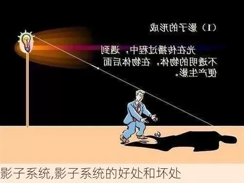 影子的作用有哪些-影子艺术与科学探索