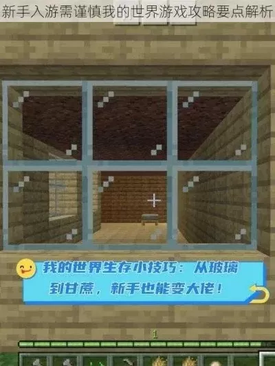 我的世界游戏逆袭攻略-我的世界逆袭攻略