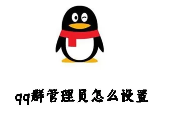 qq怎么给管理员-QQ多种方式联系管理员
