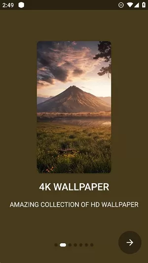 walli fly中文版
