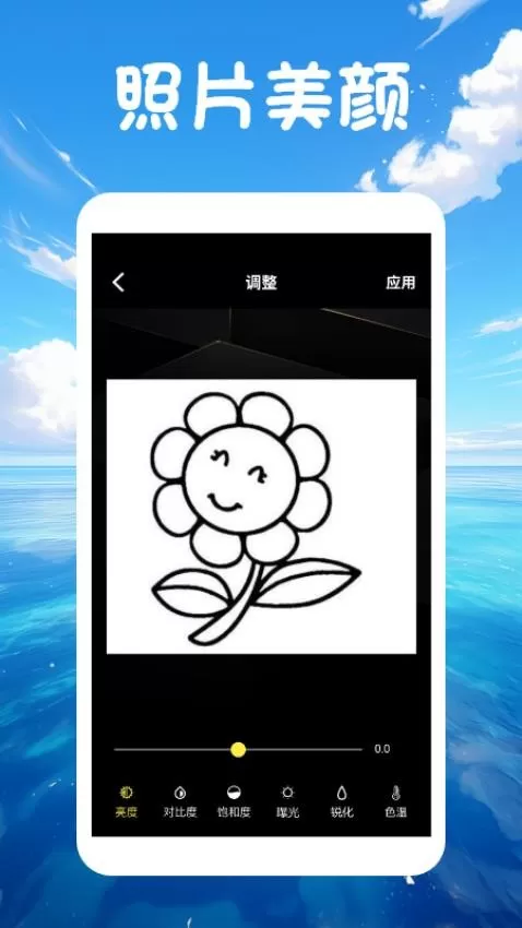 codeformercam