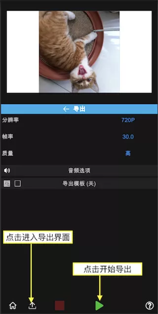node video专业版
