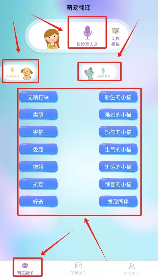 爱宠物翻译
