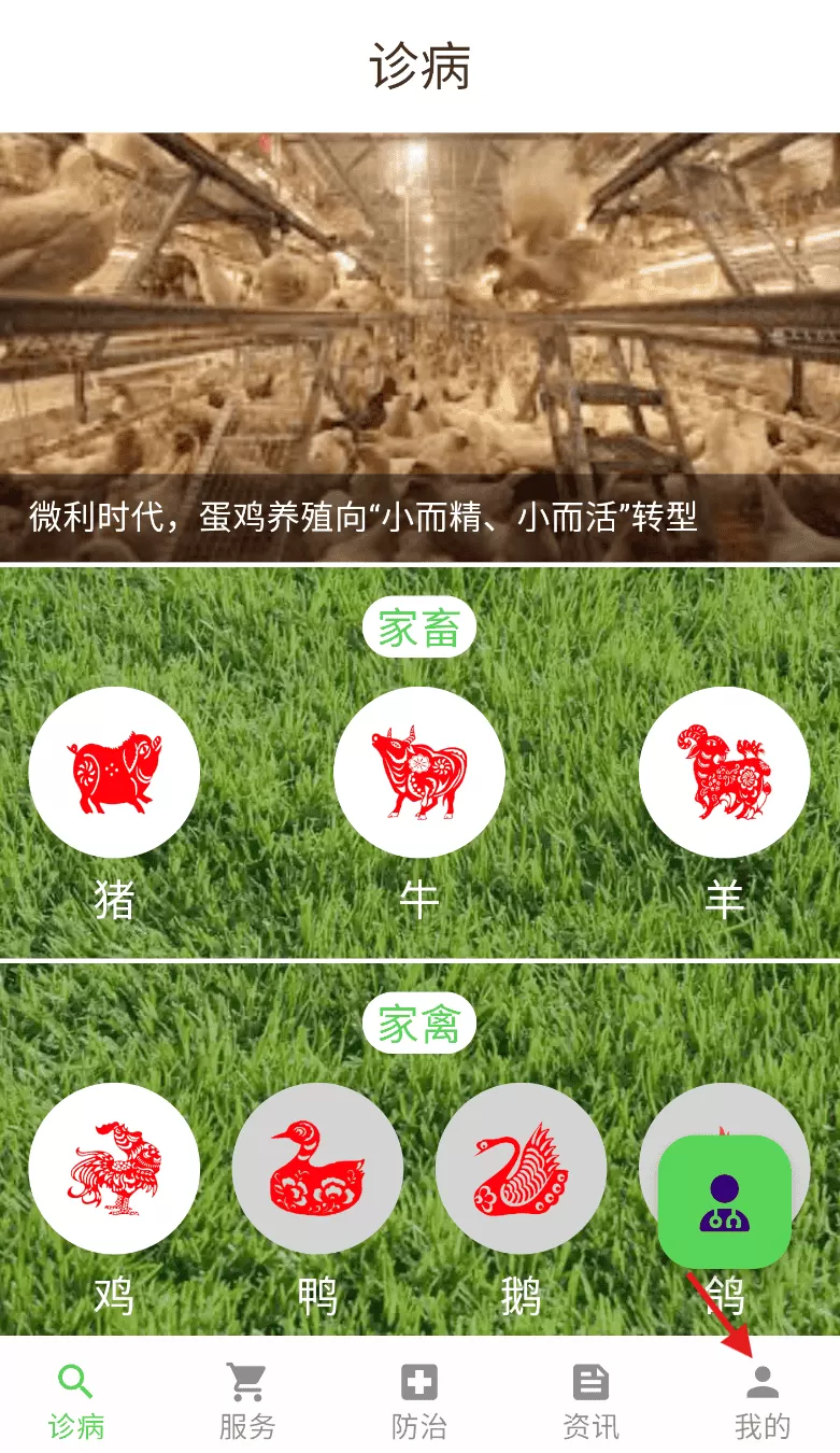 百畜兴旺