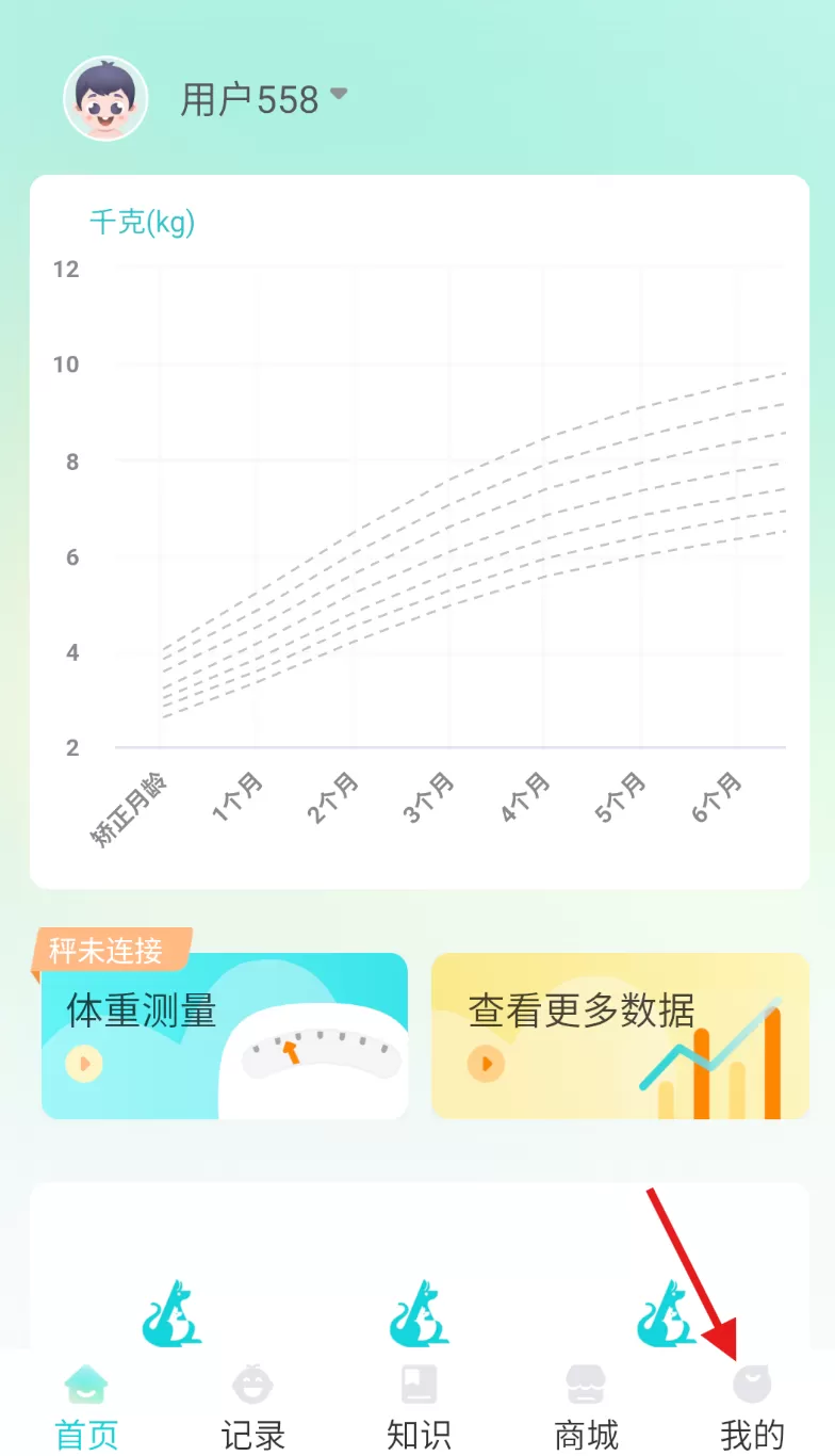 袋鼠照护