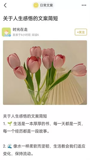 果橙头像
