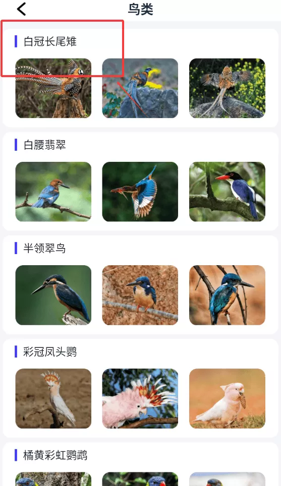 动物百科大全