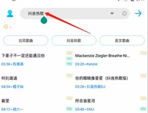 歌词适配手机版