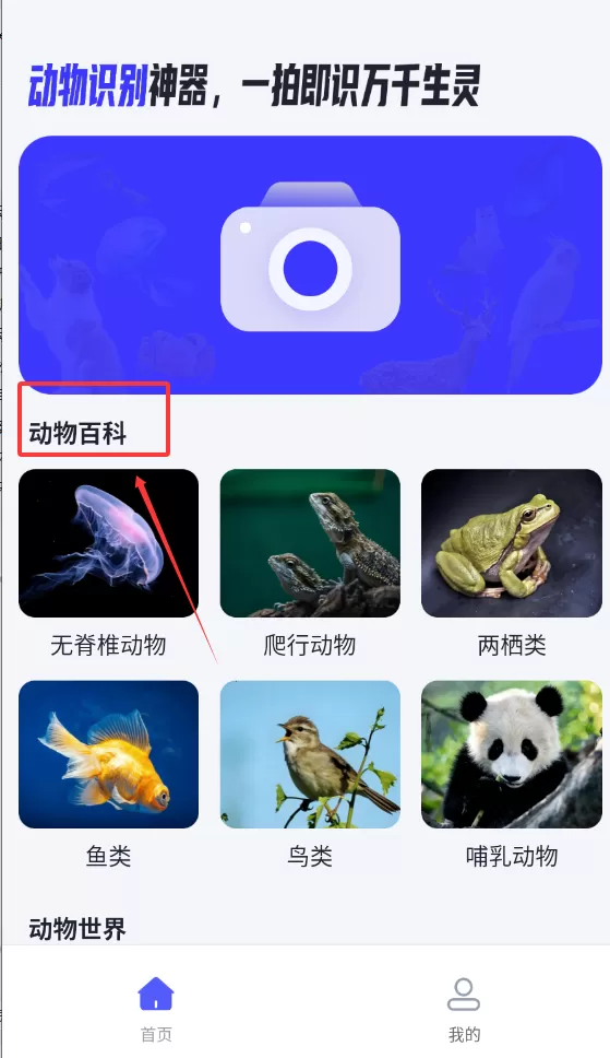 动物百科大全
