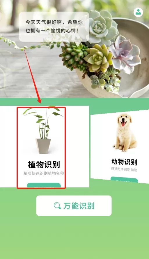 花卉百科