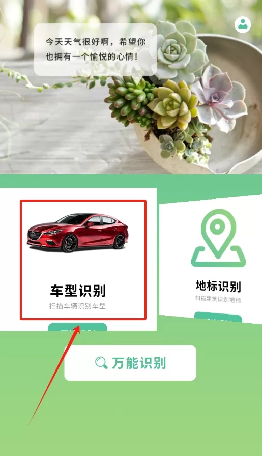 花卉百科