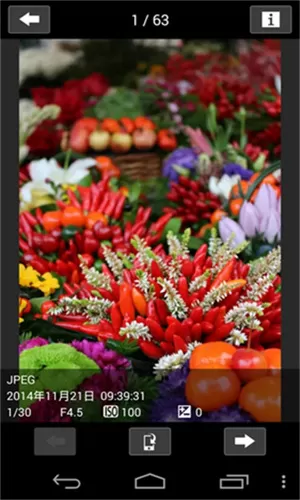 佳能相机连手机app