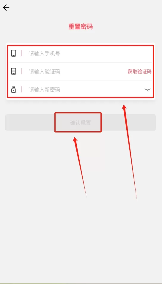 脸探肖像