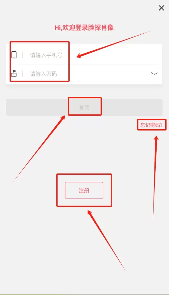 脸探肖像