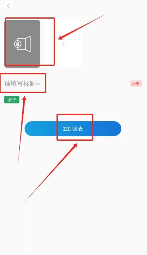 喵喵小日常