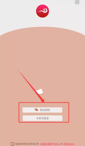 如意京选手机版