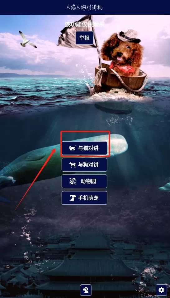 人猫人狗对讲机
