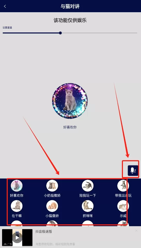 人猫人狗对讲机