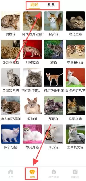 韶光相机