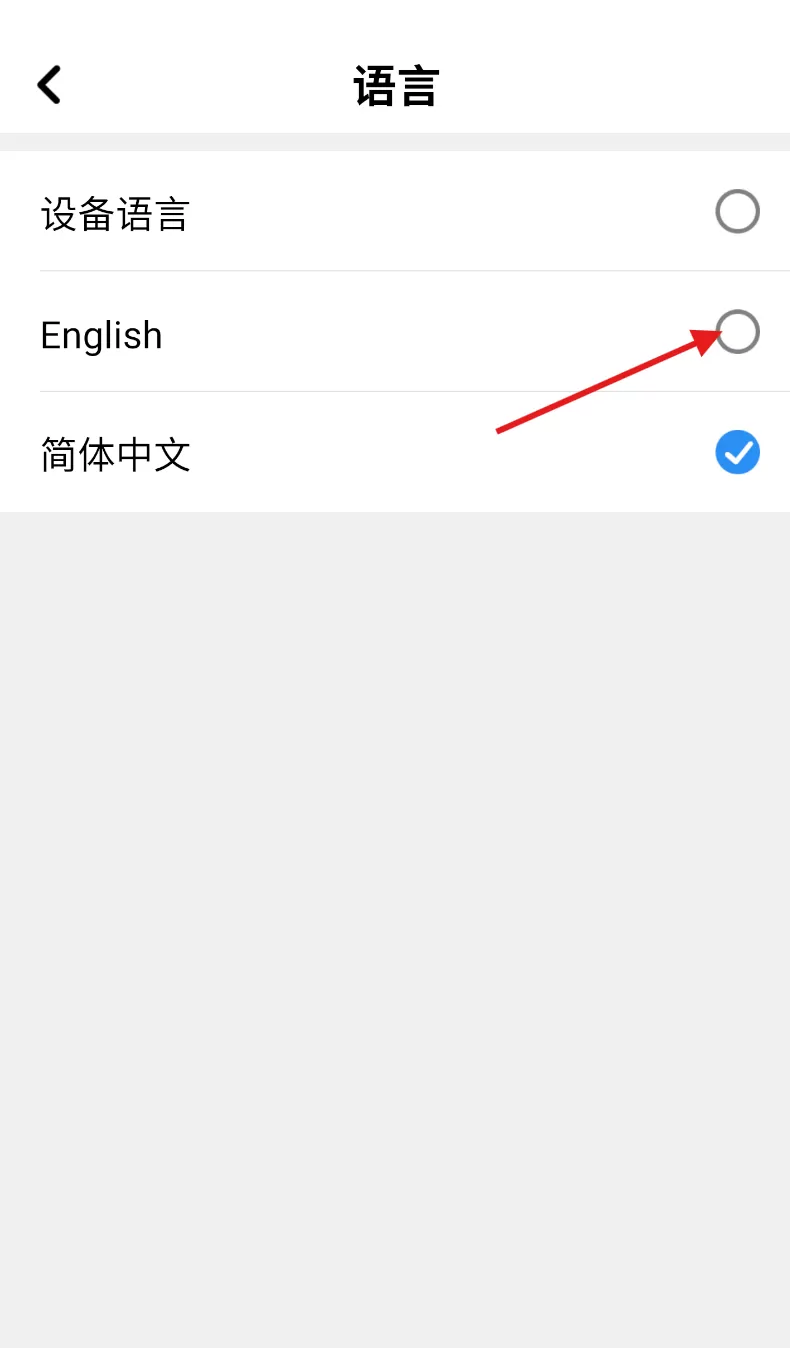土豆
