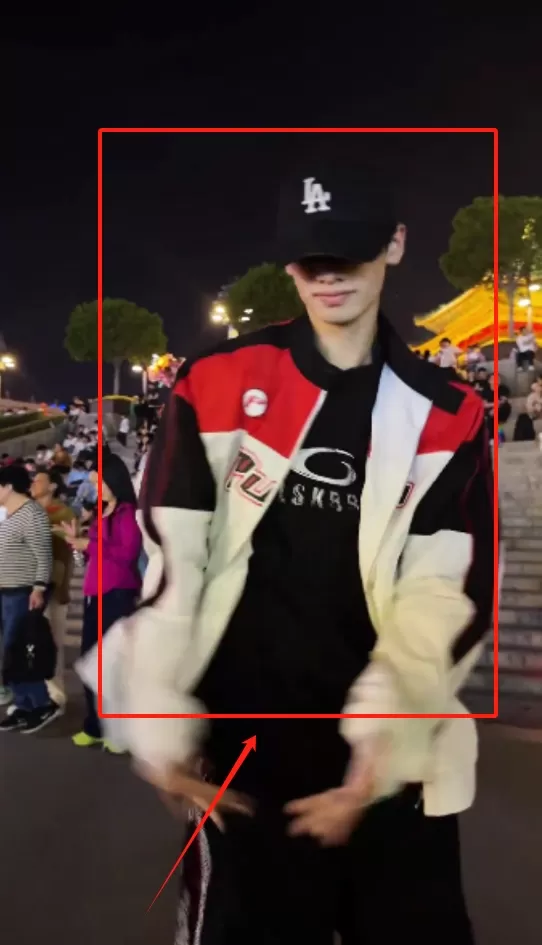 网页视频下载器