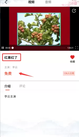 戏友