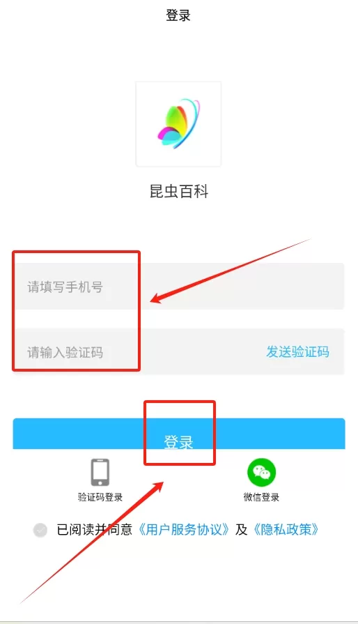 昆虫百科