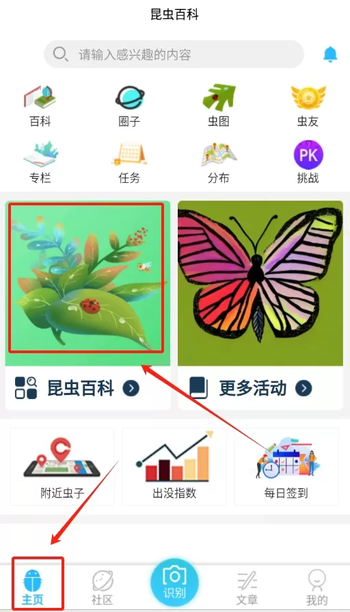 昆虫百科