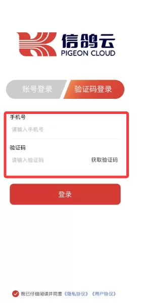 信鸽云