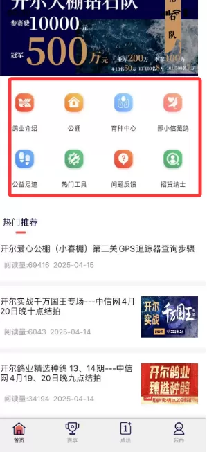 信鸽云