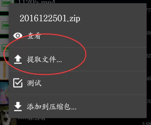 zarchiver老外管理器新版本