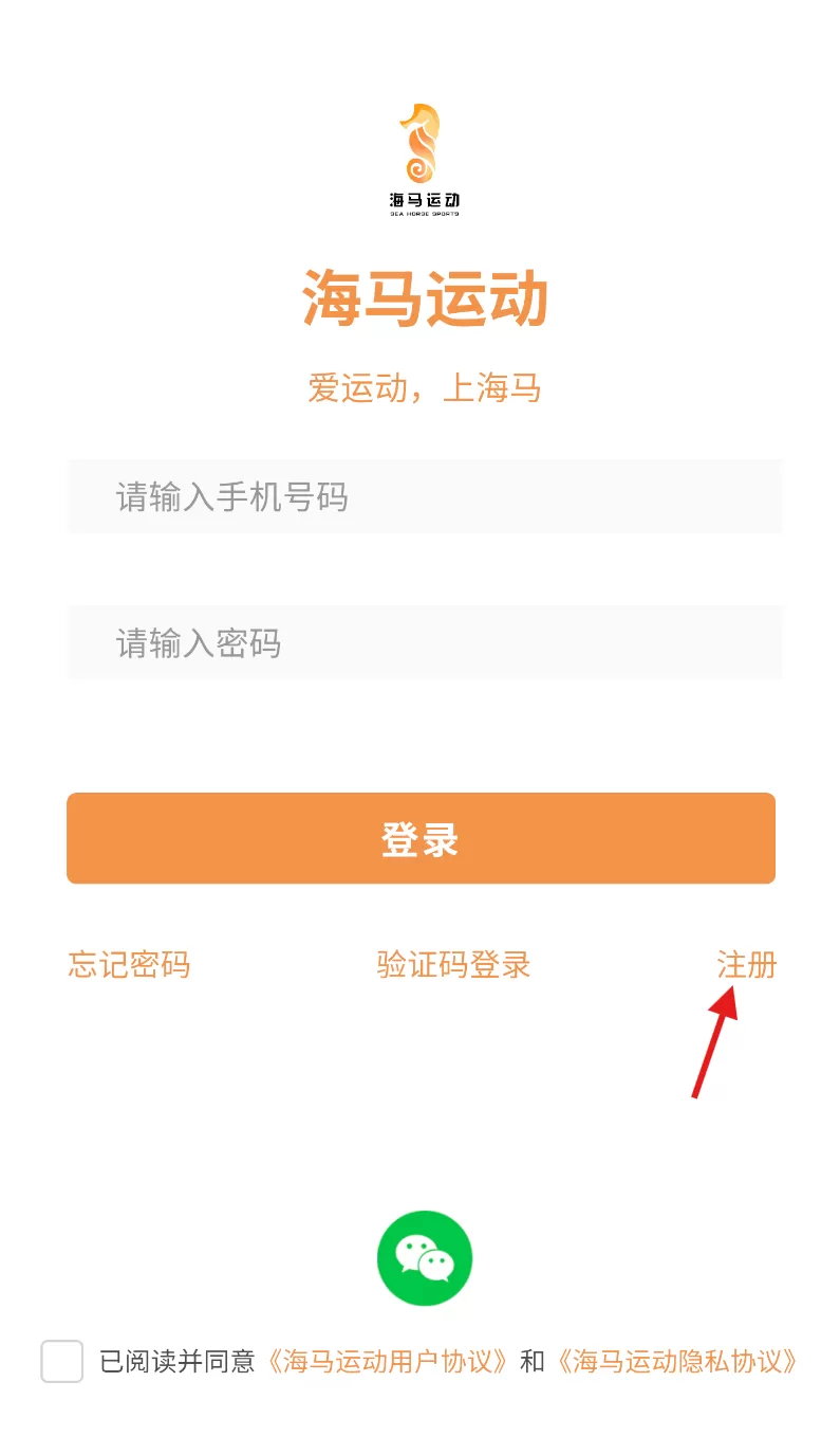 海马运动