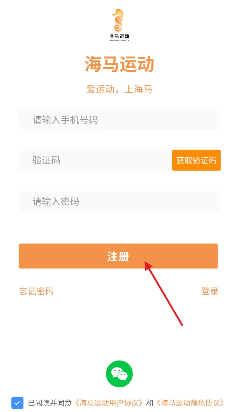 海马运动