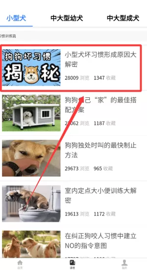 训狗教程大全