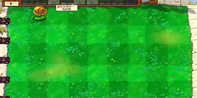 植物大战僵尸火影忍者版