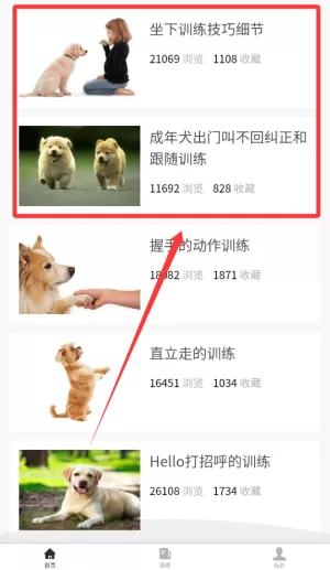 训狗教程大全