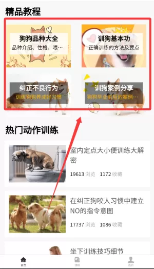 训狗教程大全