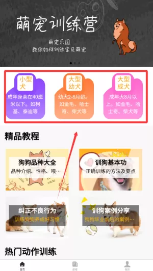 训狗教程大全