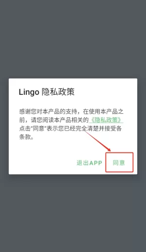 Lingo实时翻译