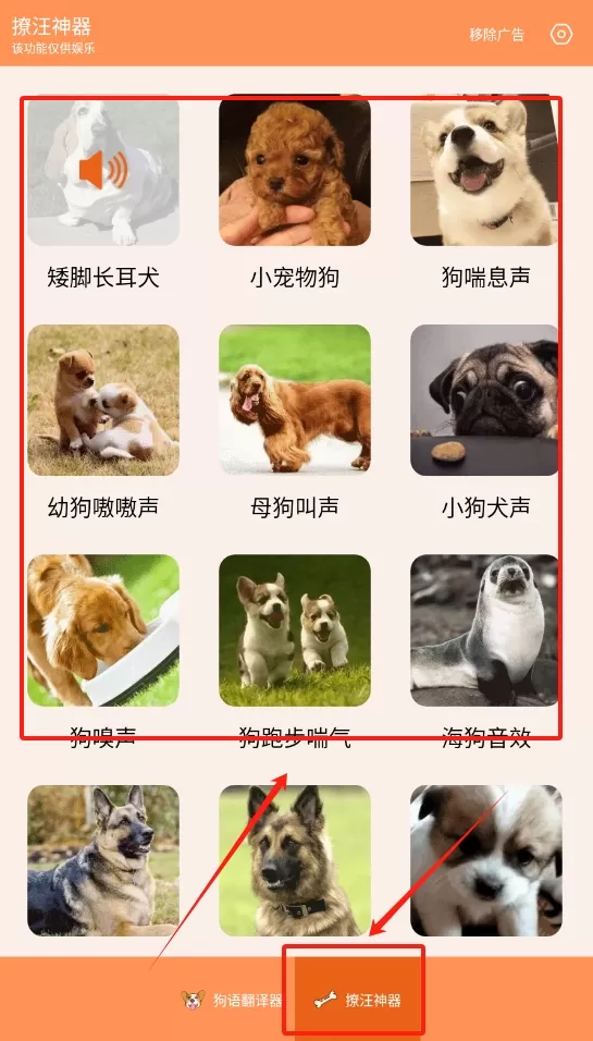 撩汪神器