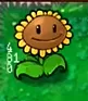 植物大战僵尸没有名字版