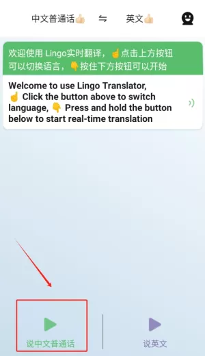 Lingo实时翻译