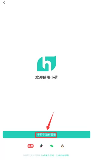 小荷